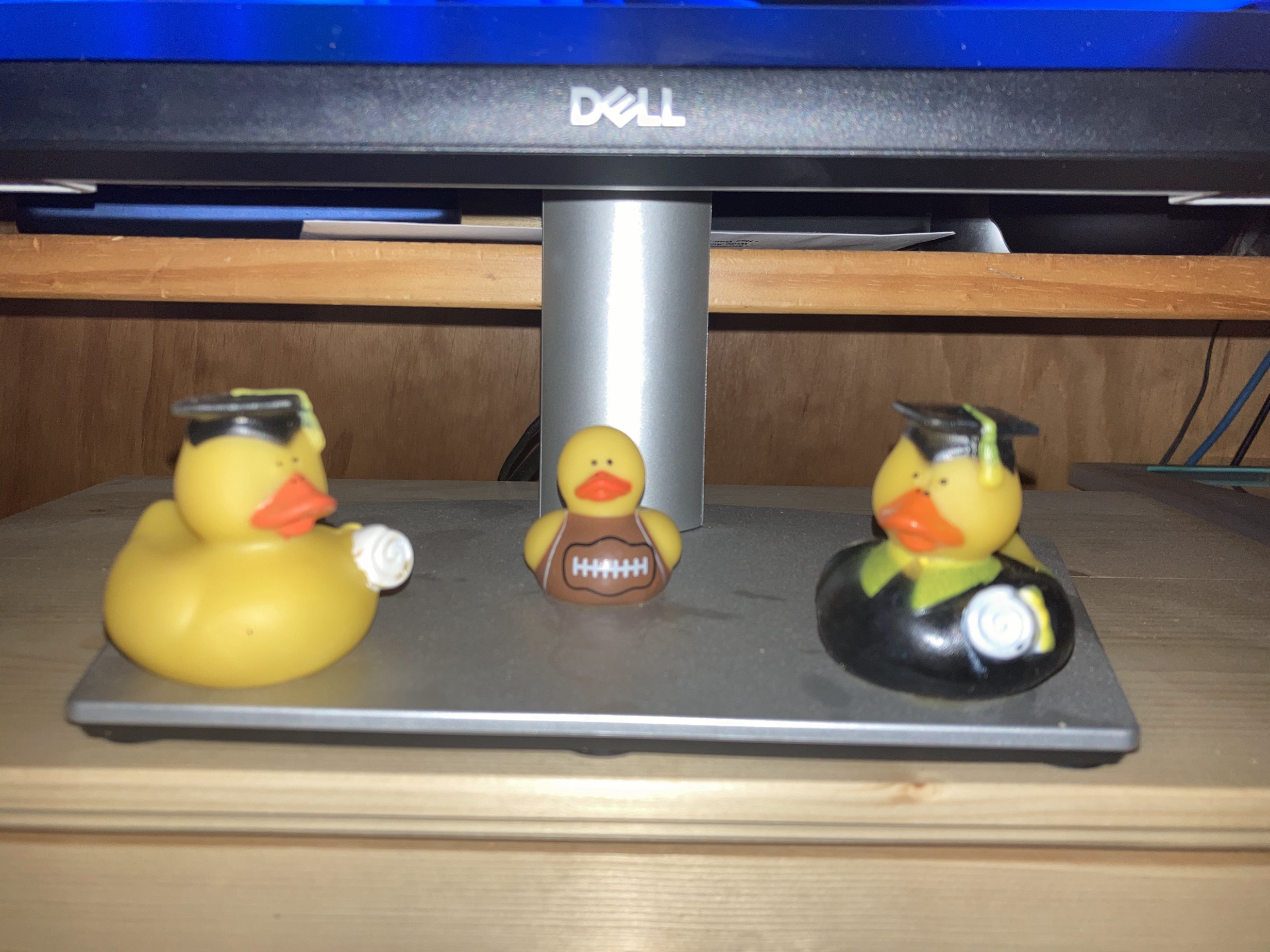 Rubber Ducks
